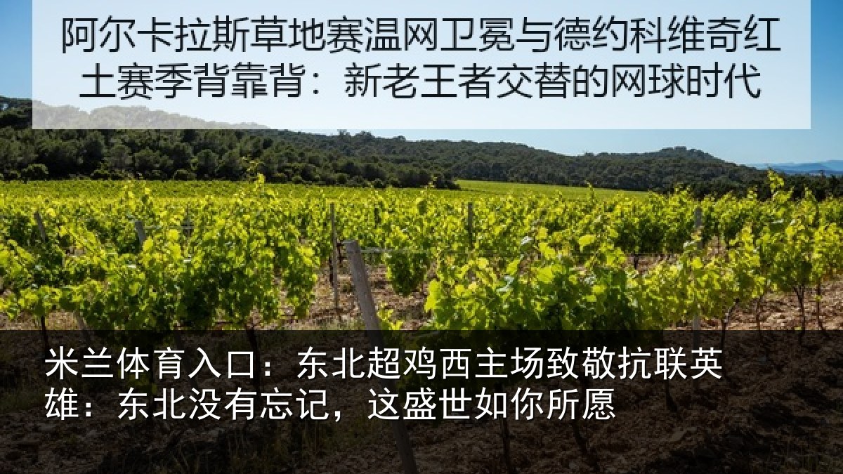 米兰体育入口：东北超鸡西主场致敬抗联英雄：东北没有忘记，这盛世如你所愿