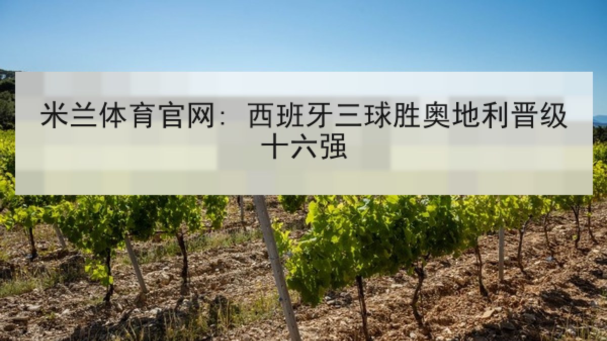 米兰体育官网: 西班牙三球胜奥地利晋级十六强
