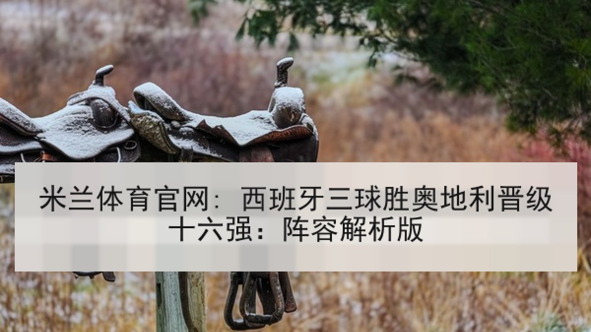 米兰体育官网: 西班牙三球胜奥地利晋级十六强：阵容解析版
