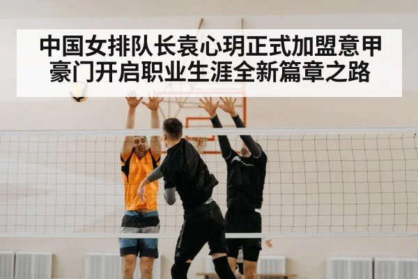 volleyball net block